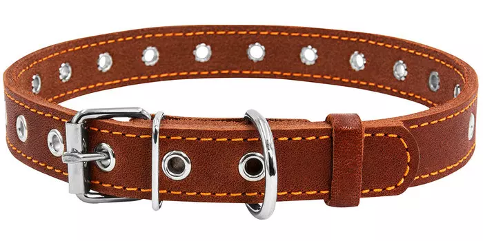 Ошейник кожаный для собак безразмерный коричневый 20 мм 50 см Collar (1 шт)