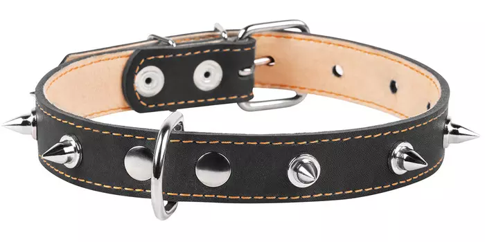 Ошейник кожаный для собак двойной с шипами черный 25 мм 38 – 50 см Collar (1 шт)