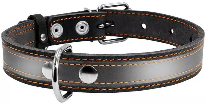 Ошейник кожаный для собак со светоотражающей лентой черный 25 мм 38 – 50 см Collar (1 шт)