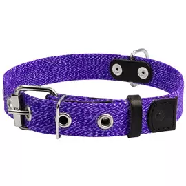 Ошейник брезентовый для собак фиолетовый 25 мм 41 – 53 см Collar (1 шт)