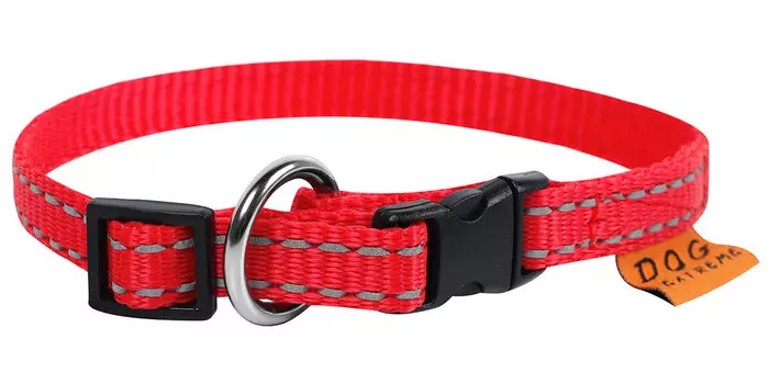 Ошейник нейлоновый для кошек регулируемый красный 10 мм 20 – 30 см Collar (1 шт)