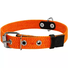 Ошейник брезентовый для собак оранжевый 25 мм 41 – 53 см Collar (1 шт)